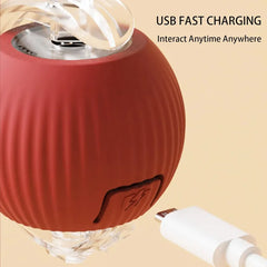 Automatic Rolling Pet Ball