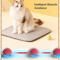 Automatic Rolling Pet Ball