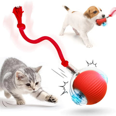 HOAIME Interactive Cat Toy Ball 2025 Upgraded Cat Toys for Bored Indoor Adult Cats Smart Self Rolling Interactive Dog Ball Toys Automatic Moving Peppy Pet Ball for Cats Kitten (Red)
