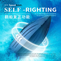 WL916 High-Speed Remote Control Boat Toy Model